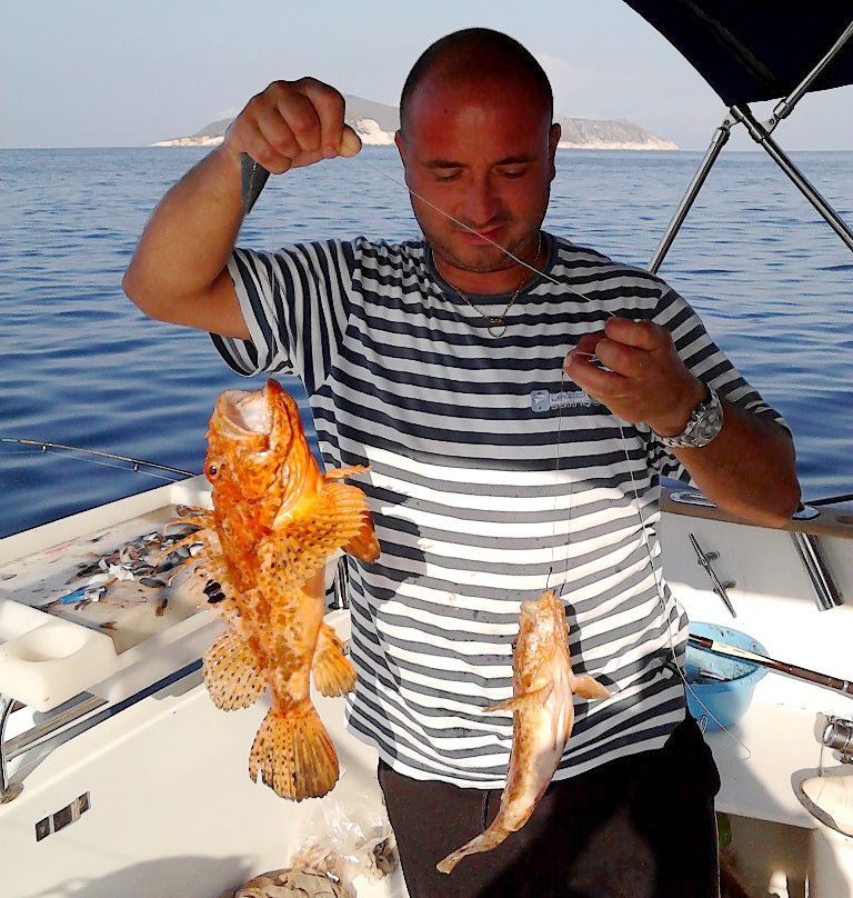 Kančanica naša svagdašnja