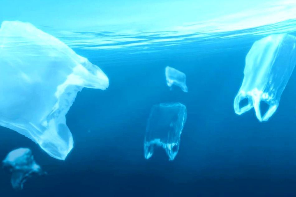 Šibenik obilježio dan protiv plastičnih vrećica