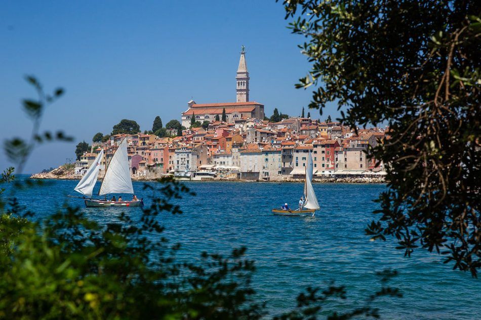 Na Cuvima u Rovinju posađeno 30 sadnica bora i čempresa