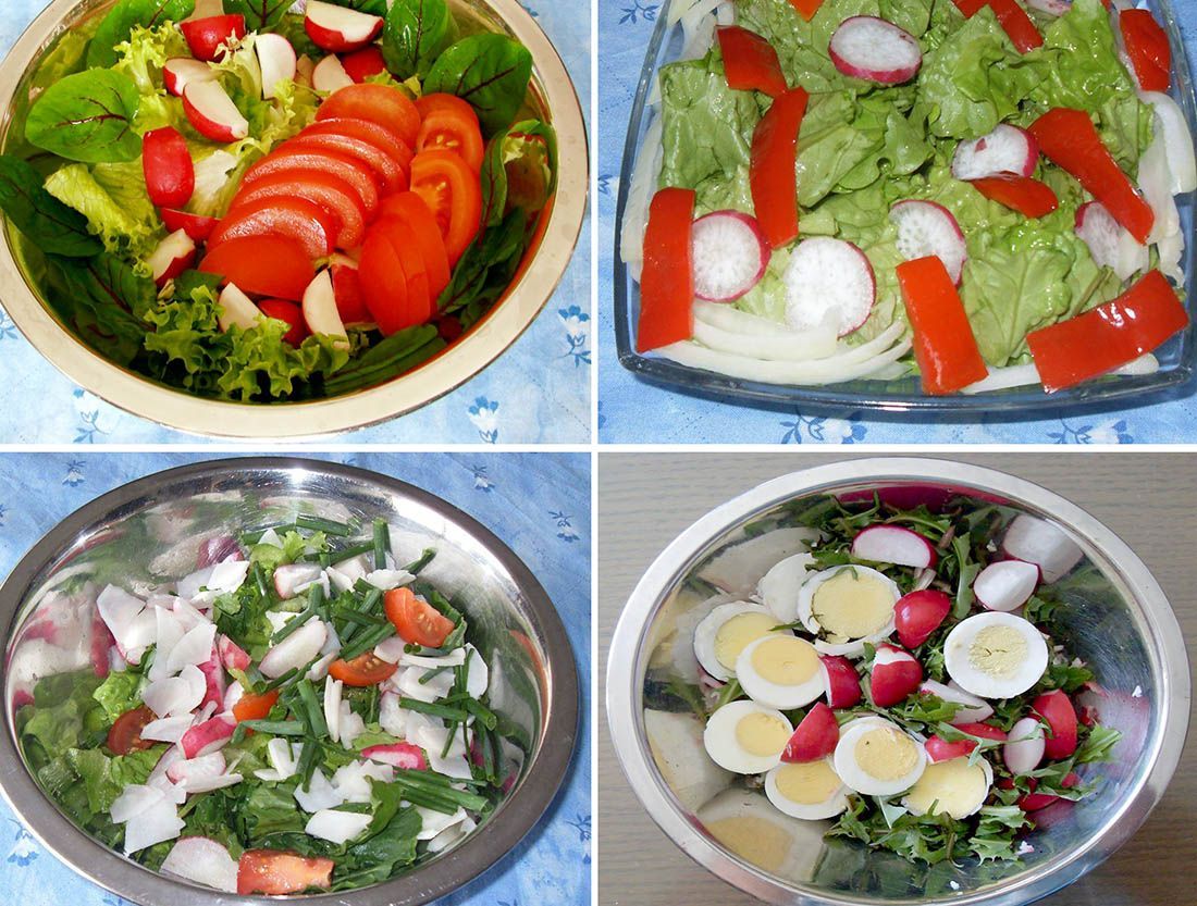 JEDNOSTAVNI DOMAĆI RECEPTI Šarene salate