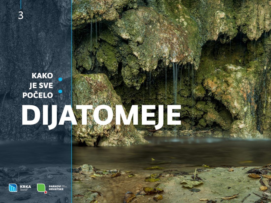 FENOMEN KRŠA Dijatomeje