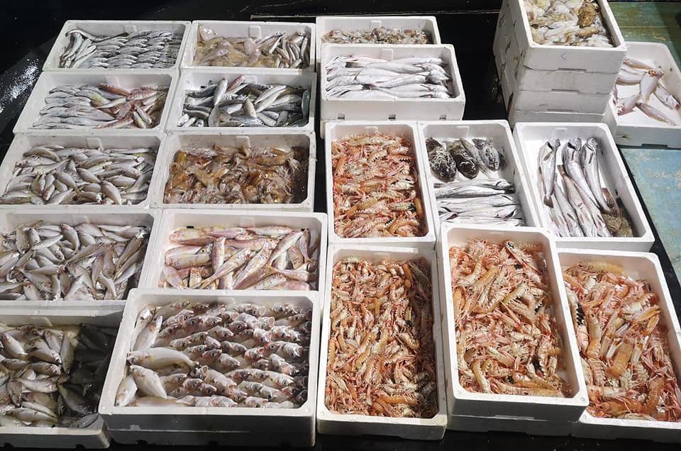 Objavljen natječaj za dodjelu potpore u mjeri “Stavljanje na tržište proizvoda ribarstva i akvakulture”