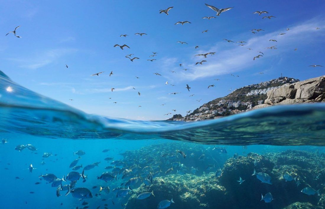 FENOMEN LASTOVA Istraživanje valova vezanih uz otok i kako oni utječu na živi svijet u podmorju