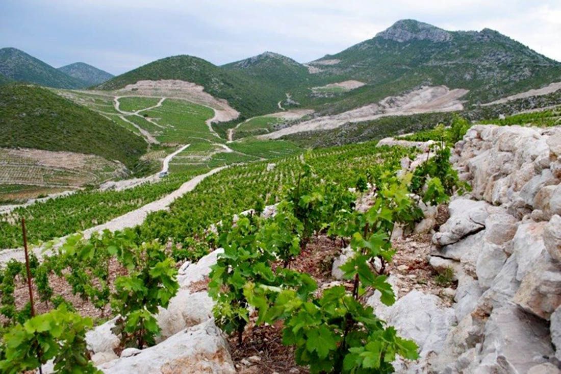 Ponikve postale zaštićena oznaka izvornosti vina na razini EU