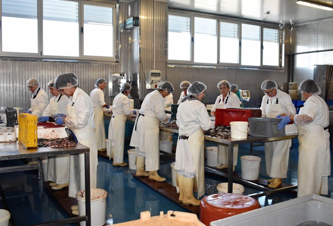 Zadarska županija na početku godine bilježi rekordan broj zaposlenih