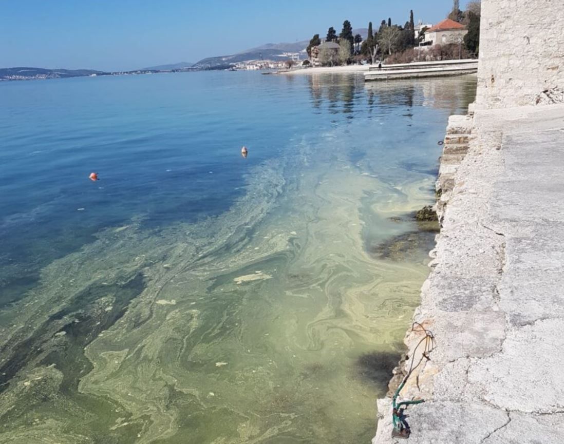 Neobična pojava u moru u Kaštelima zabrinula mještane
