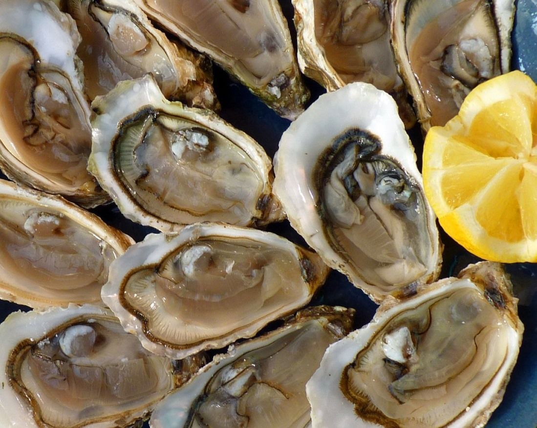 JOŠ DVA ZAŠTIĆENA AUTOHTONA HRVATSKA PROIZVODA:  Neretvanska mandarina i malostonska kamenica