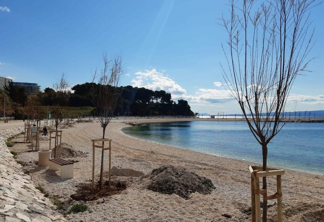 Na splitskim plažama sade se nova stabla