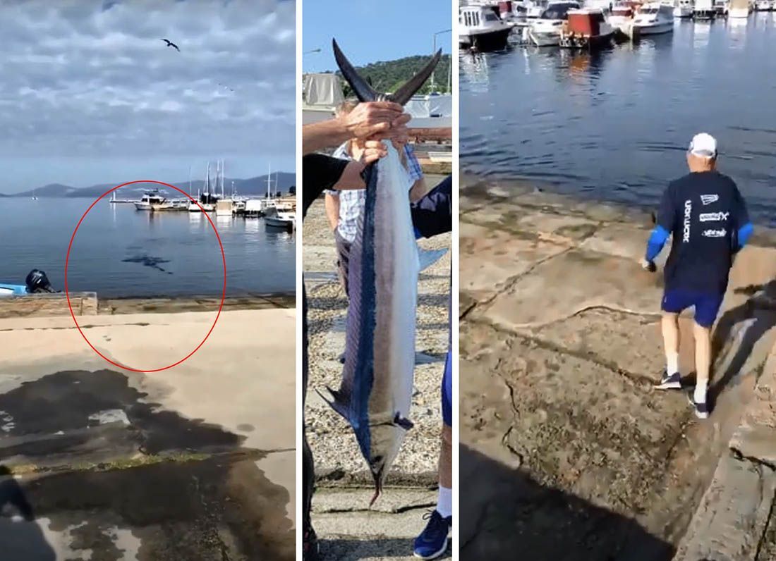 NEVJEROJATAN VIDEO Iglan se zaletio u jato riba, zabio u rivu i nastradao