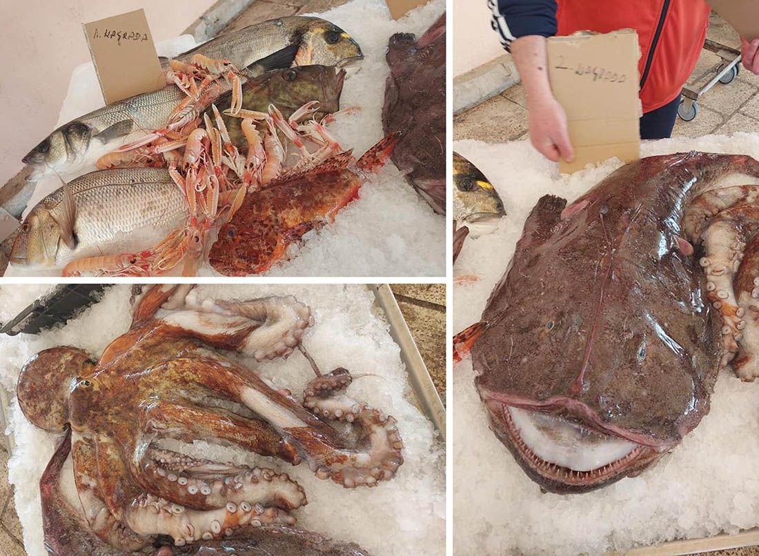 TRADICIONALNA TOMBOLA NA SPLITSKOJ PEŠKARIJI Tko je osvojio 13 kilograma oborite ribe?