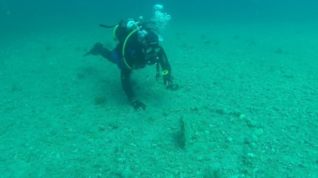 Austrijski bračni par posvećen pronalaženju živih periski na Cresu – Pronađene tri žive!