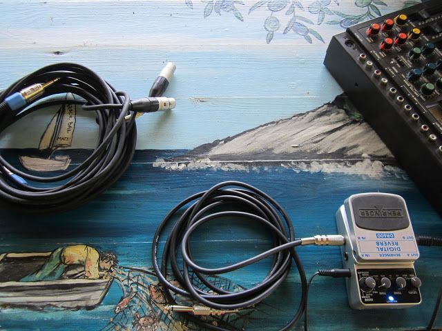 Elektro-akustičnim koncertom protiv devastacije obale
