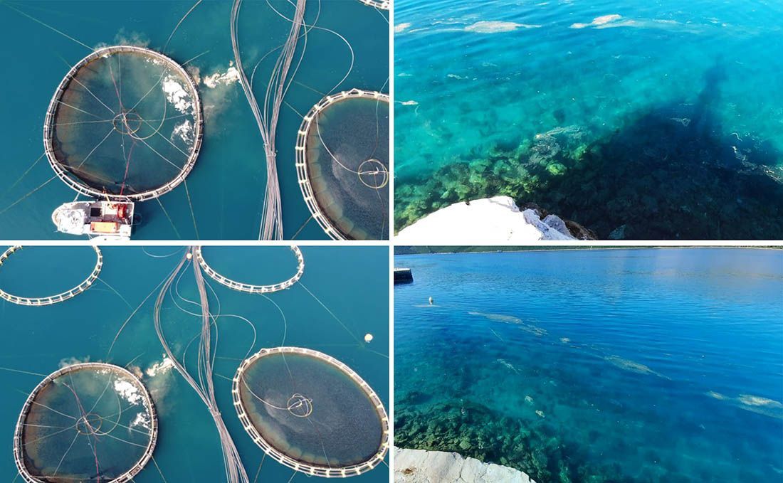 VIDEO Zagađenje mora uz uzgajalište snimljeno dronom: “U kući mi smrdi po kavezima!”