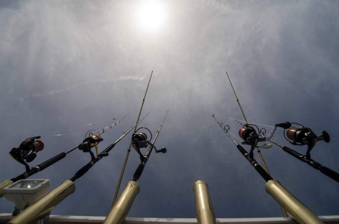 U Jezera na Murteru stiglo 55 natjecatelja u Big game fishingu