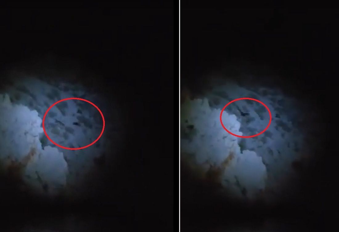 NEVJEROJATAN VIDEO Lisicu na podvelebitskim škrapama napala sova ušara
