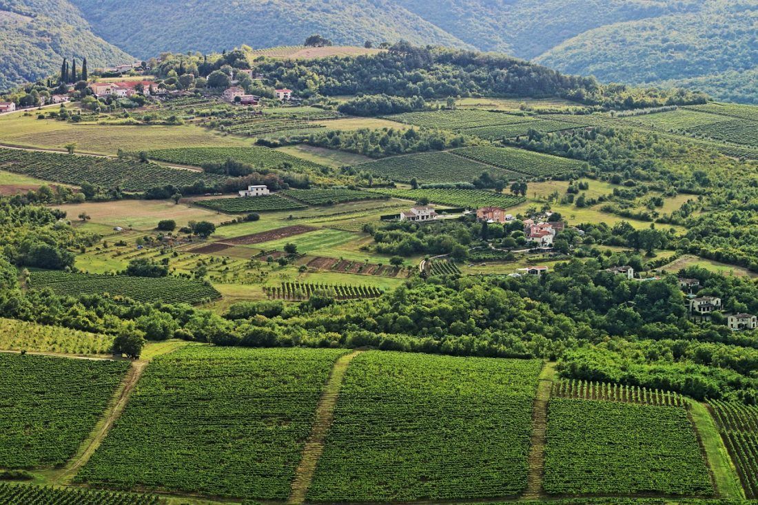 Hrvatski sabor izglasao novi Zakon o poljoprivrednom zemljištu