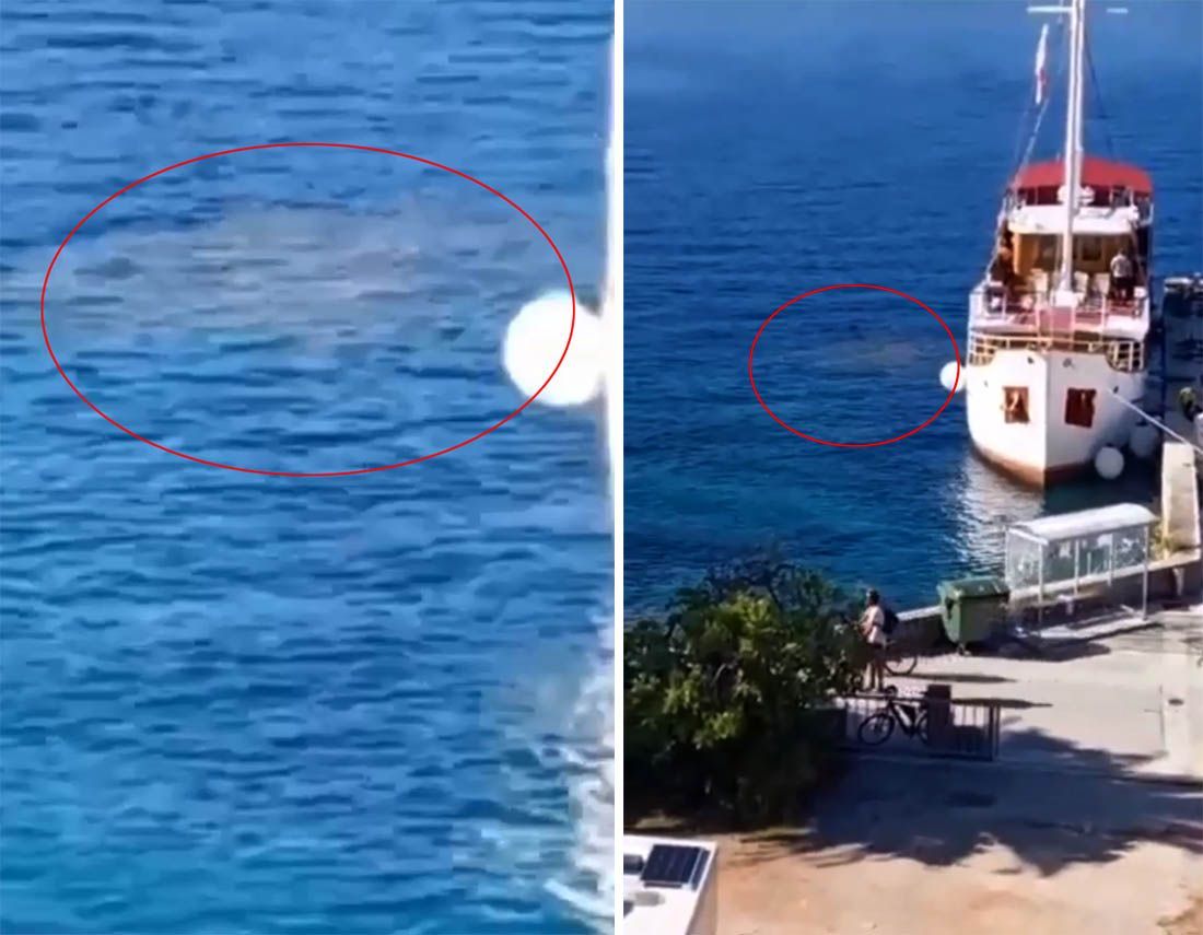 VIDEO Snimili brod na Pelješcu dok ispušta smeđu tvar: “Ovdje se djeca kupaju, ovo je sramota!”
