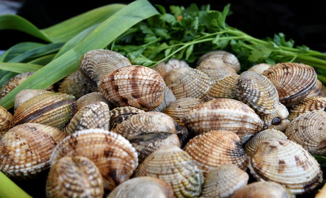 Nakon više od desetljeća EU i SAD dogovorili nastavak trgovine školjkašima