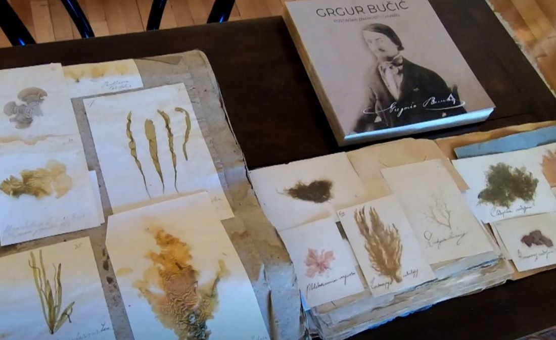 Morski herbarij iz 19. stoljeća u Hvaru
