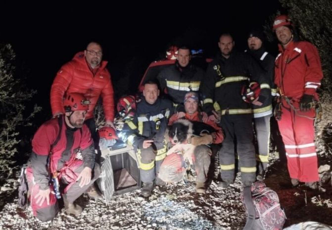 HGSS-ovci spasili dva unesrećena psa na Biokovu i Braču