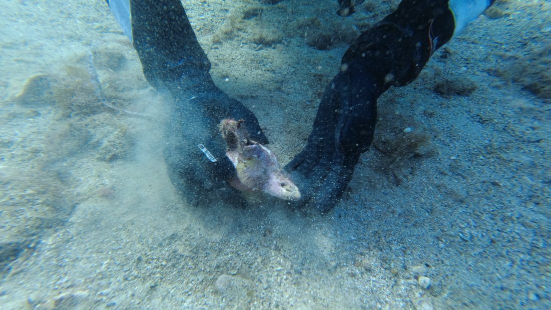 U hvarskoj luci pronađeni vrijedni arheološki artefakti