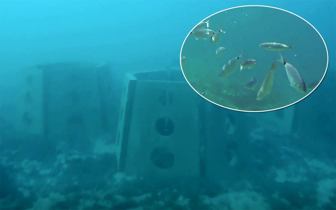 Prva kvarnerska kuća za ribe uspješno se useljava