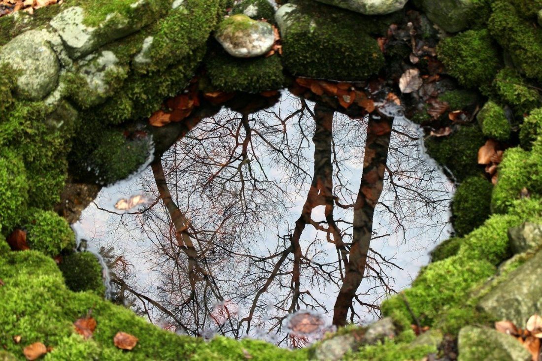U povodu Svjetskog dana voda ističe se važnost i nužnost zaštite podzemnih voda