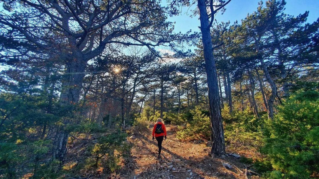 I Supetar se upisao na svjetsku kartu trail utrka