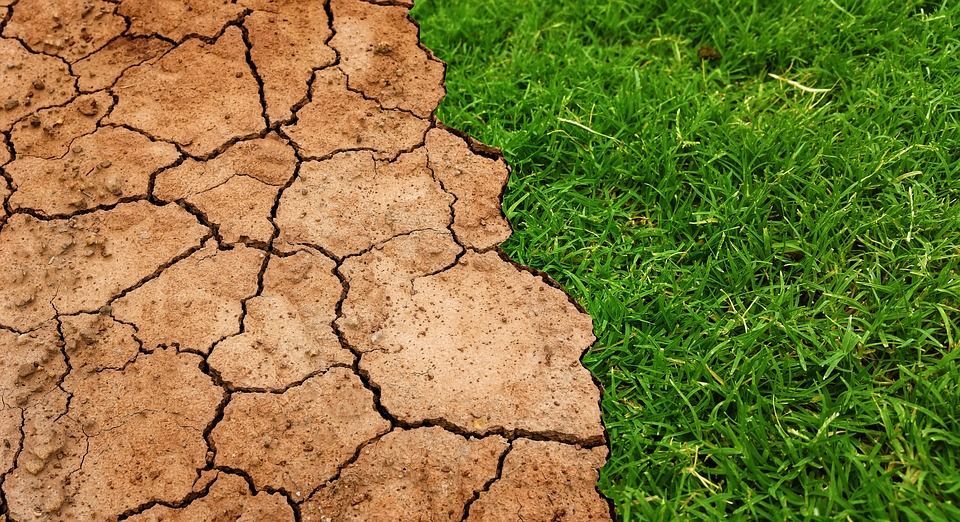 U idućih pet godina 50% izgleda da se premaši rast od 1,5 Celzijeva stupnja
