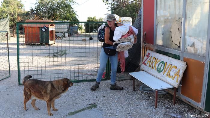 Pasji život uz biser Jadrana – životinje odveli sanitarni radnici