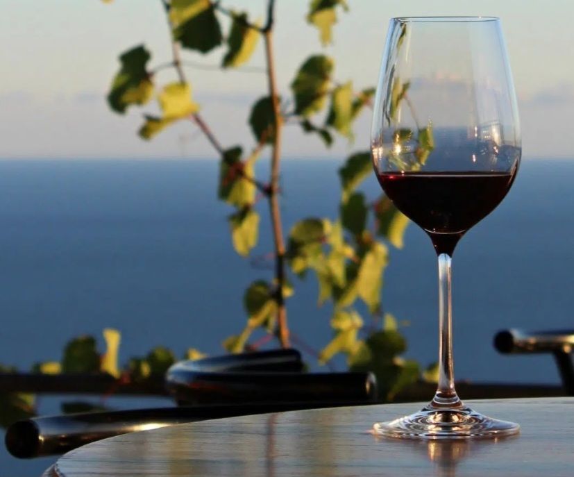 Počinje Festival peljeških okusa