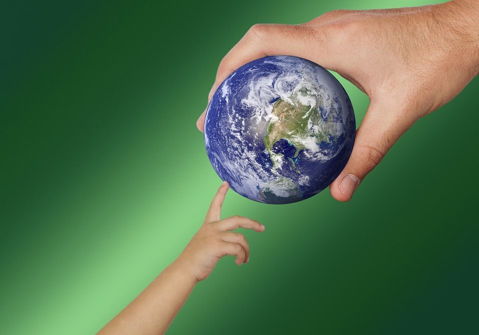 Zemlje se muče oko dogovora o zaštiti prirode dok se rok približava