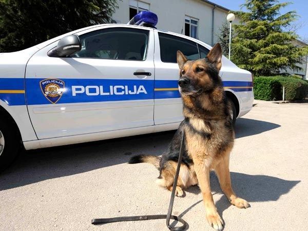 Policija na festivalima u Istri zaplijenila drogu – Našlo se svega