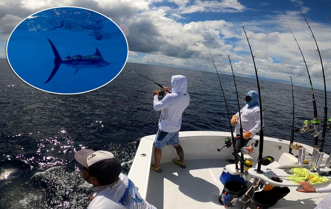 Kaštela će i ovog ljeta biti domaćin najvećeg međunarodnog Big game fishinga