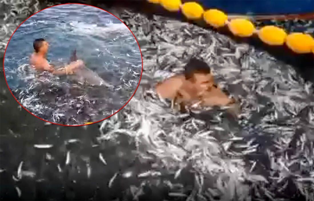 VIDEO Dobri ribari skočili među svoje mreže da bi spasili dobrog dupina!