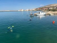 Bibinjci čiste podmorje Paga