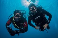 Ministarstvo poništilo upis novog vodstva Hrvatskog ronilačkog saveza: "Sjednica Sabora bila je nestatutarna"