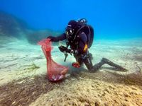 ČISTE MLJET VEĆ 12 GODINA: Rezultati su konačno vidljivi, ali ronioci iz mora i dalje vade nevjerojatne količine otpada!