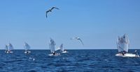 Završena Vegina proljetna regata: Izvrstan jedriličarski vikend u Puli zaključen maestralom, pobjeda Davidu Paliniću