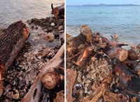 ALARM IZ ZADRA ZBOG SUMNJIVIH RADOVA NA AGLOMERACIJI Nautičari, oprez: "Balvani u plovnom putu, skrivaju li tako uništavanje škrapa?"
