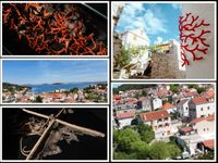 OTOK KORALJA KOJI KORALJE - NEMA! Nevjerojatna priča o skrivenom dragulju šibenskog arhipelaga