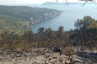 Veliki požar na Visu pod kontrolom: "Dežura se na požarištu"