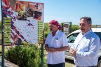 Nova vinska karta koja osvaja posjetitelje: Doznajte koja se točno tajna krije iza prve ploče postavljene na Pagu
