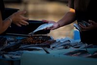 Ribarstvo, stočarstvo i voćarstvo dobivaju snažan investicijski zamah