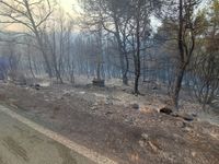KORČULA Kiša spasila otok od katastrofe, iza vatrene stihije ostali apokaliptični prizori