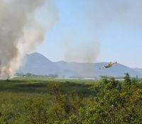 Požar u Metkoviću zahvatio prirodni rezervat