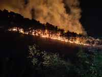 POŽAR U PUČIŠĆIMA Traje bitka s vatrenom stihijom na Braču: "Vjetar ne pomaže gašenju"