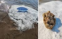 FOTO/VIDEO Umjetnička instalacija na ušću Neretve oduševila prolaznike: Znate li što predstavljaju lađa i spužva u pijesku?