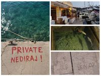 MLJET U USTANKU ZBOG INSPEKTORA Svi bi red i pravnu državu, dok im zakoni ne zakucaju na vlastita vrata!