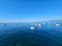 Kvarnerski festival ribolova okupio 80 ribolovaca u Riječkom zaljevu